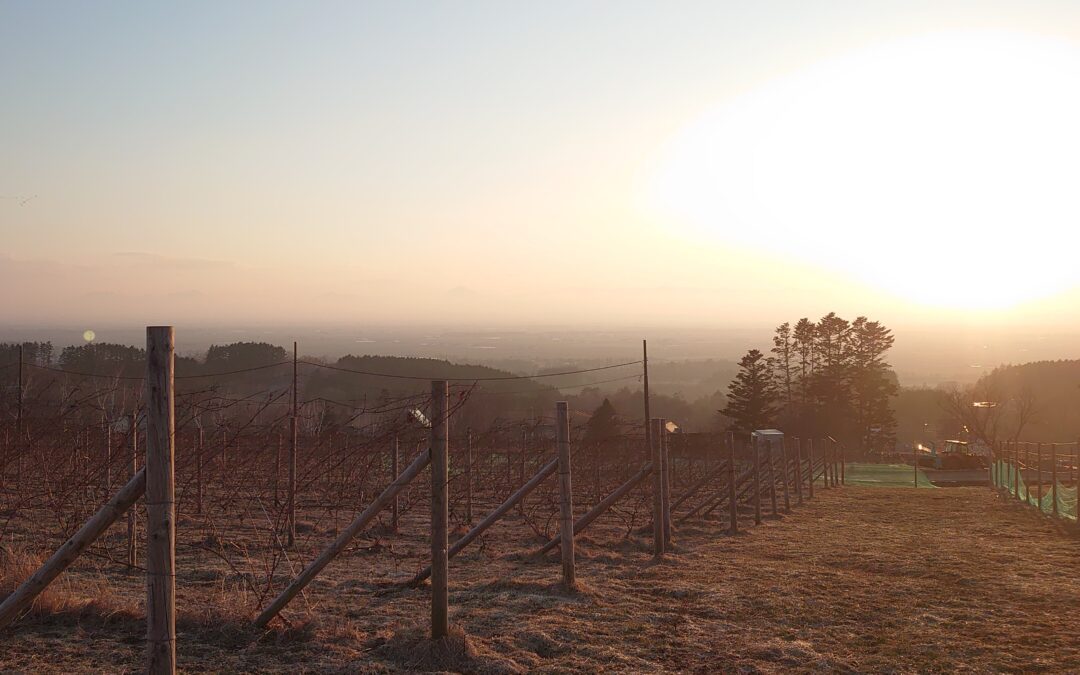 2026年度の営業開始日と農場作業ボランティア募集について